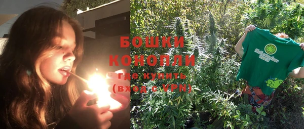 PSILOCYBIN Балабаново