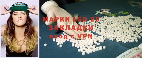 PSILOCYBIN Баксан