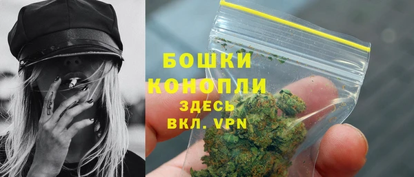 PSILOCYBIN Балабаново